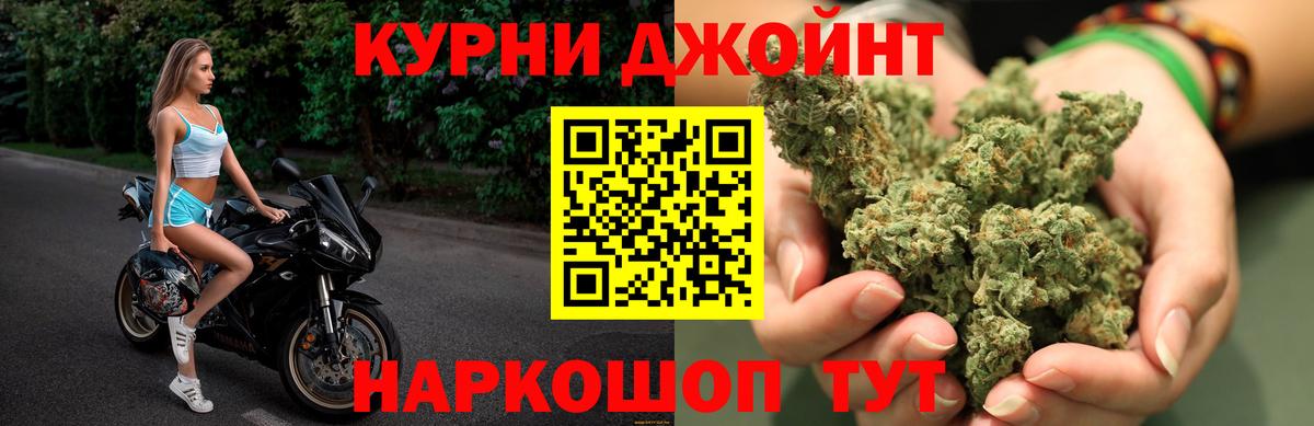 Каннабис конопля  Канабис гибрид  Вход с VPN  Канабис Amnesia  Бошки марихуана White Widow  Вологда 